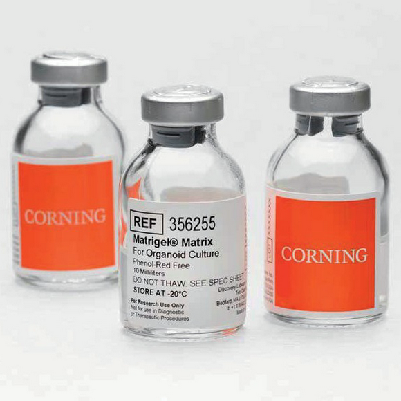 Matrigel356255-Corningר
